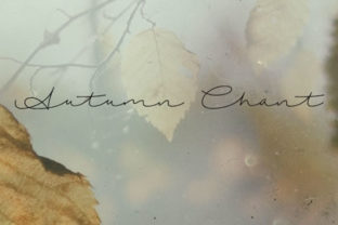 Autumn Chant: A Guide to This Handwritten Script Font